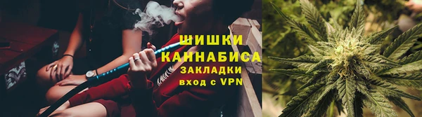дмт Новокубанск