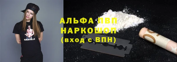 дмт Новокубанск