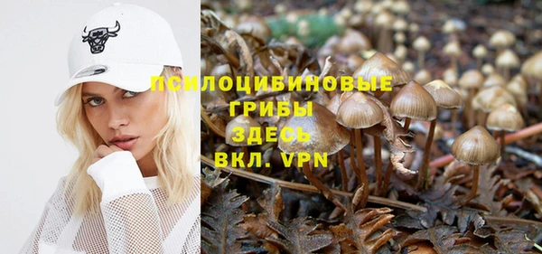 герыч Новозыбков