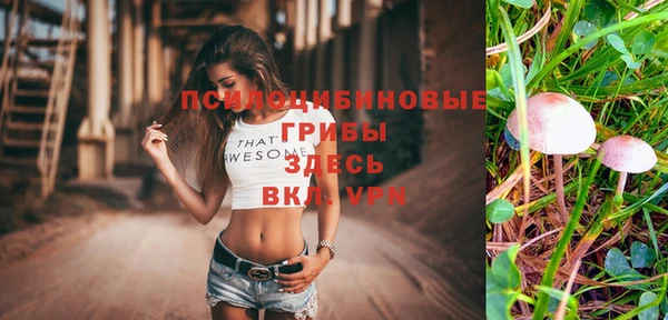 мефедрон мука Новодвинск