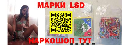 крисы Абакан