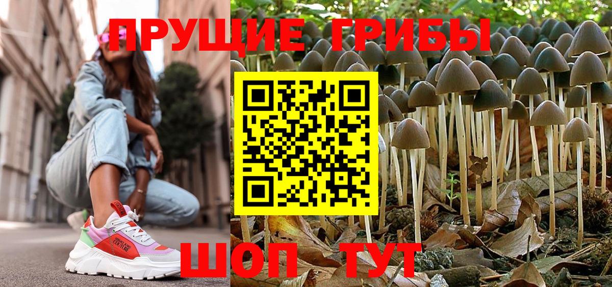 Псилоцибиновые грибы Psilocybe Азнакаево