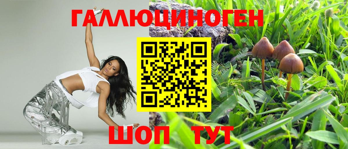 Азнакаево  Галлюциногенные грибы Psilocybe  Галлюциногенные грибы ЛСД  Вход с VPN 