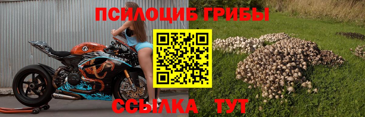 Галлюциногенные грибы Cubensis Азнакаево