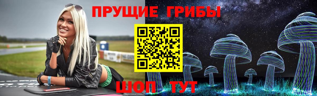 Галлюциногенные грибы Psilocybe  Вход с VPN  Галлюциногенные грибы ЛСД  купить наркотики цена  Азнакаево 