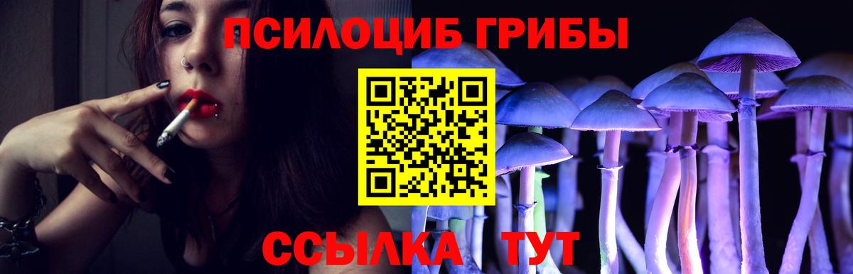 Галлюциногенные грибы мицелий  Азнакаево 